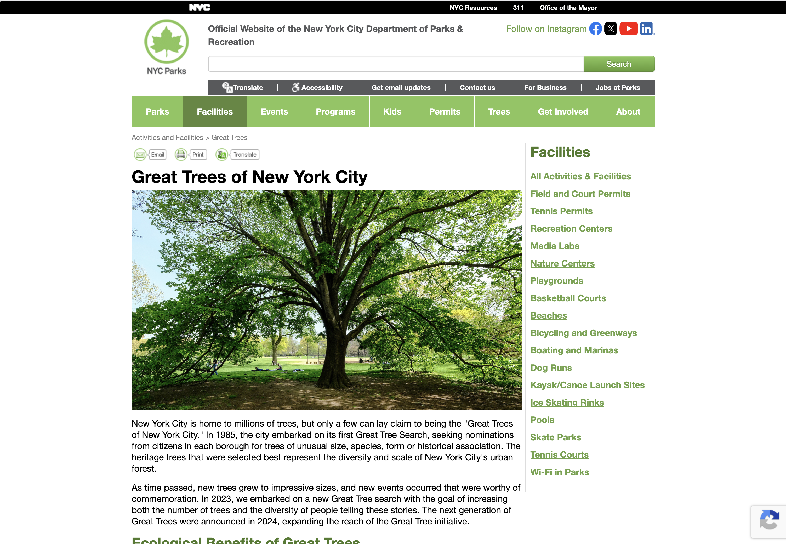 The NYC Parks Great Trees page listing the full roster with photos, species, and neighborhoods